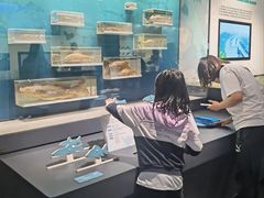 -四川大学博物馆