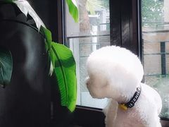 -the rug 飞毯 (朝阳公园店)