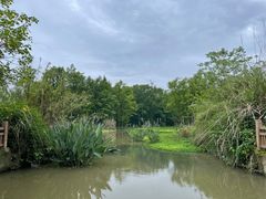 -桤木河湿地公园