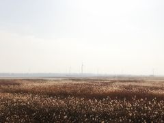 -野鸭湖国家湿地公园