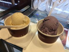 -哈根达斯(深圳海岸城店)