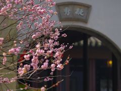 -惠山古镇·寄畅园