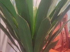 -盛世川王•幸福里(长虹店)