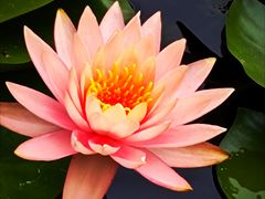 -金银湖国家城市湿地公园