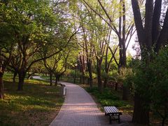 -玲珑塔公园
