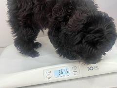 -博特宠物医院24h犬猫全科.骨科·异宠