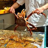 好吃到抽耳光都不放手啊[流泪][流泪]