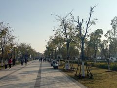 -盘龙城遗址博物院