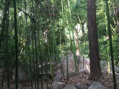 -观唐（国际）度假村温泉