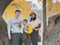 -千年银杏谷文化旅游区