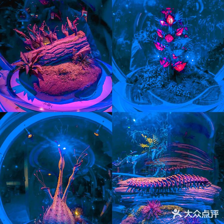 全国首展‼️阿凡达空降成都🧿探索潘多拉星球