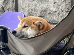 -HANA COFFEE(长寿路店)