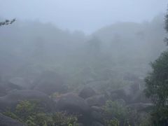-玉苍山国家森林公园
