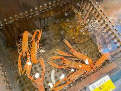 -宁海食府(大剧院店)