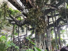 -江天生态园餐厅