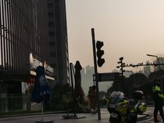 -重庆市江北嘴中央商务区中央公园