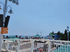-海合安青岛极地海洋公园
