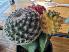 -萃和楼海鲜酒店(汉口路店)