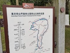 -铁山坪森林公园