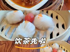 -百利鸽王(紫薇路店)