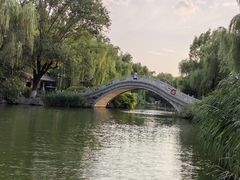 -济南大明湖景区