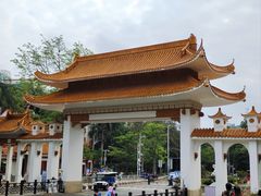 -深圳仙湖植物园