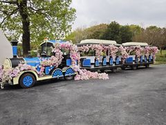 -上海鲜花港