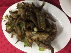 -蛇口康乐快餐鱼仔档(翠苑小区店)
