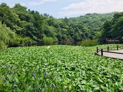 -天目湖山水园