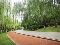 -南翠屏公园