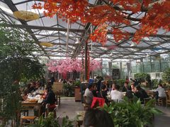 -老磨油饼(高陵店)
