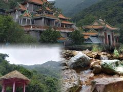 -南海湾森林生态园