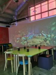 -恐龙探索乐园(磁器口店)