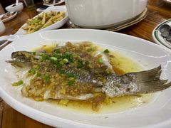 -八仔大富楼·河鲜(西江店)