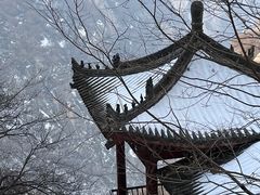 -华山风景名胜区