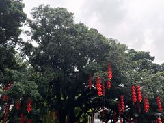 -荔湾湖公园