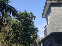 -开平碉楼文化旅游区马降龙景区