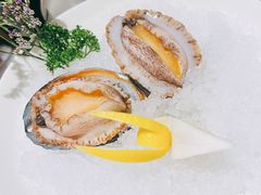 六头鲍鱼-红雀围·海鲜火锅(陆家嘴中心店)