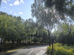 -永定河休闲森林公园