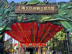 -上海大自然野生昆虫馆(东方明珠·爬宠昆虫探索中心)