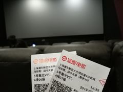 -大光明丽星VIP影城(昌里路杜比全景声店)