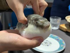 -肆月河豚·新淮扬(金融街店)