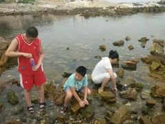 -养马岛旅游度假区