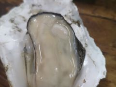 -四季美蚝皇