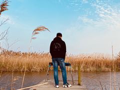 -南汇嘴观海公园