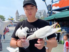 -烟台海昌鲸鲨海洋公园