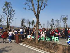 -枫香湖儿童公园