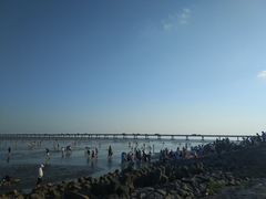 -南汇新城海滩