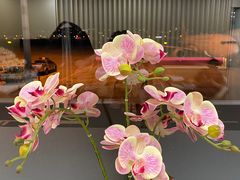 -太原武宿国际机场