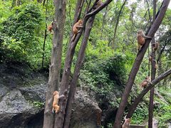 -黔灵山公园
